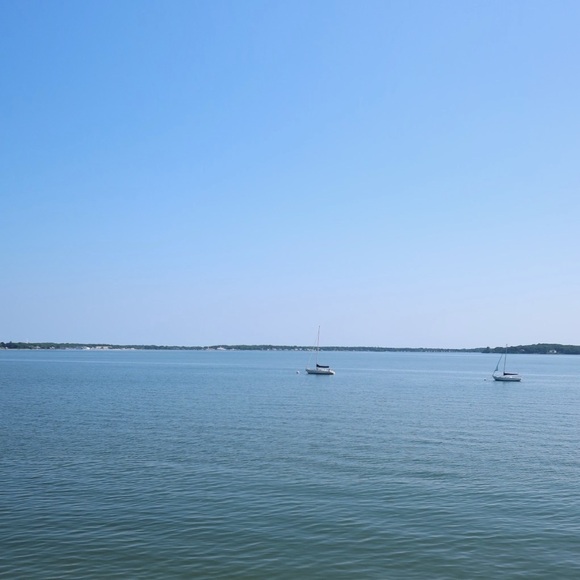 Meet your Posher, Josie - Picture 1 of 1